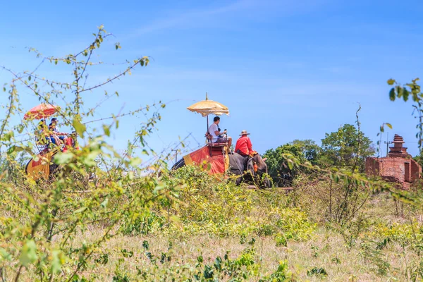 Turisti in giro per un elefante — Foto Stock