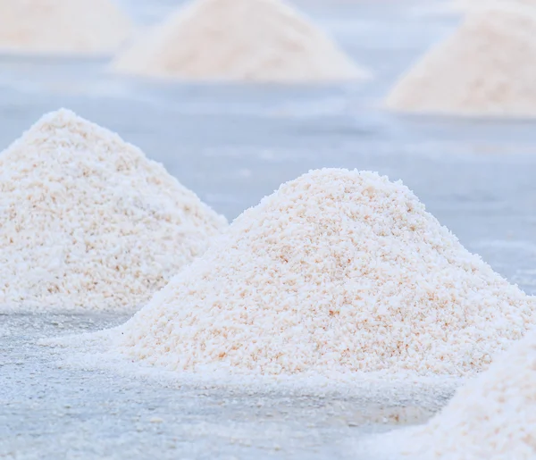 Salt at seaside farm — Stock Photo, Image