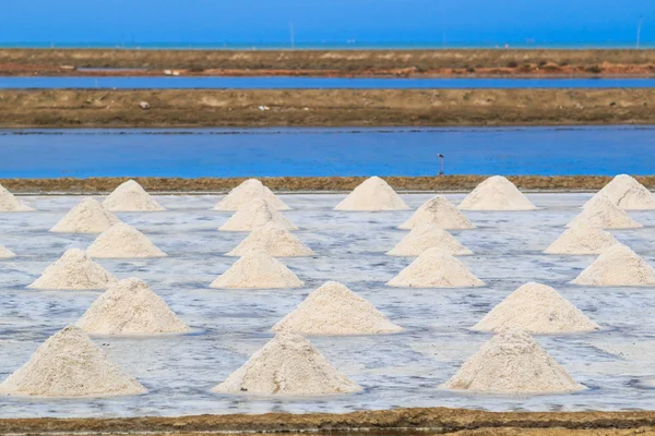 Sale a fattoria di mare — Foto Stock