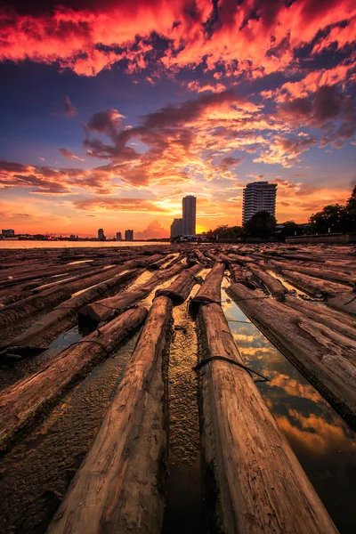 Troncos de madeira na água — Fotografia de Stock