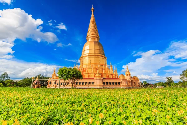 Shwedagon pagoda in Thailand — Stockfoto