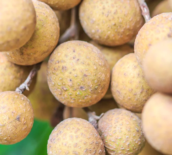 Frutas longanas en huerto — Foto de Stock