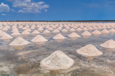 Sahil çiftlikte tuz yığınları