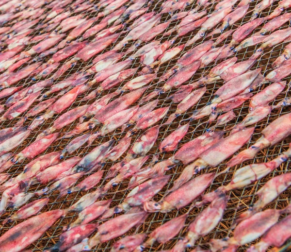 Calamari secchi in rete — Foto Stock