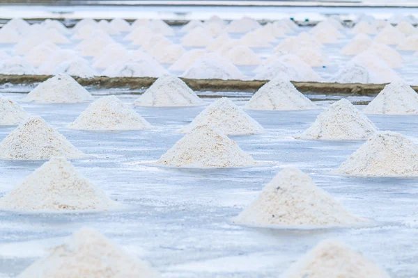 Salt piles in seaside farm — Stock Photo, Image