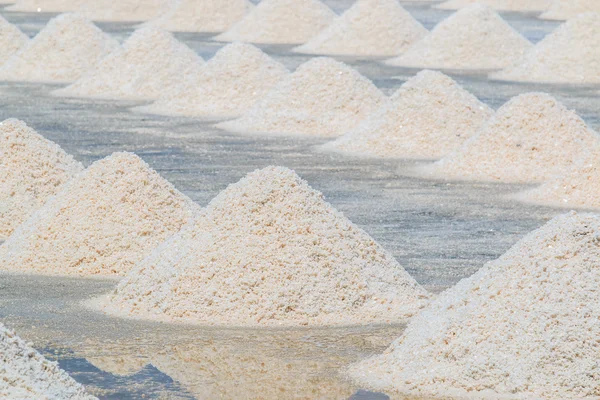 海辺の農場で塩の杭 — ストック写真