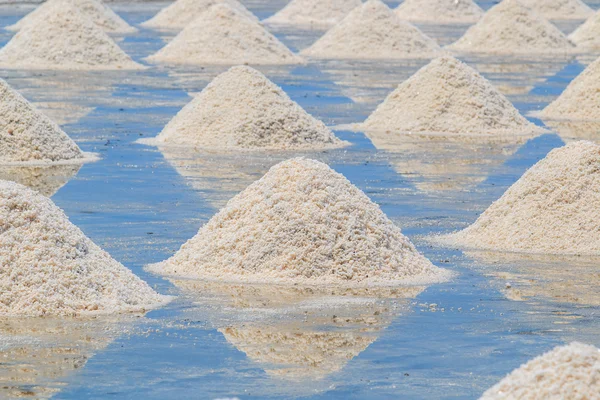 Salt piles on seaside farm — Stock Photo, Image