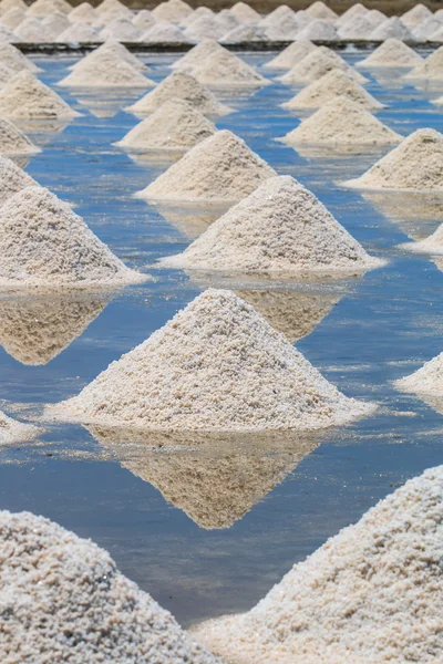 海辺の農場で塩の杭 — ストック写真