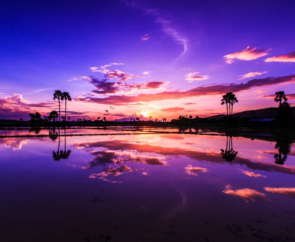 Mooie zonsondergang achtergrond — Stockfoto