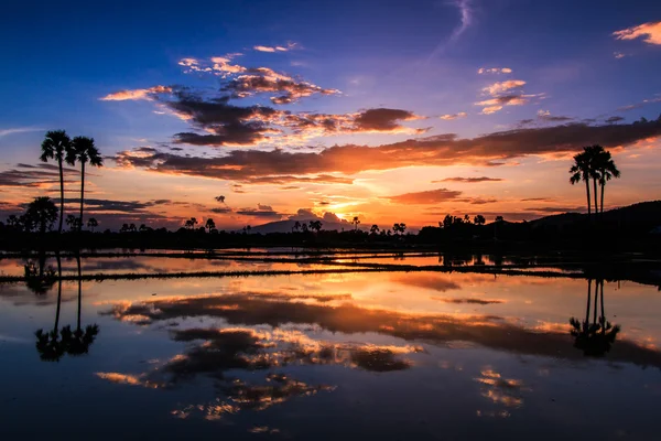 सुंदर सूर्यास्त पार्श्वभूमी — स्टॉक फोटो, इमेज