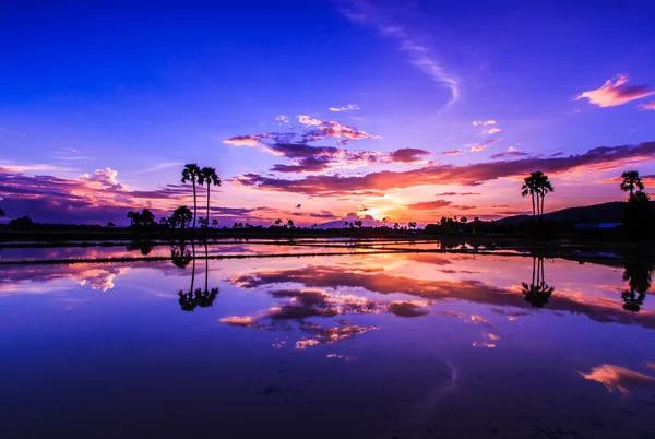 beautiful sunset background - Stock Image - Everypixel