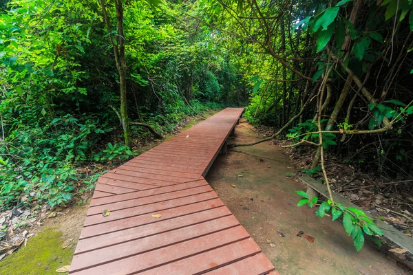 Wooden Walkway bridge — Stock Photo, Image