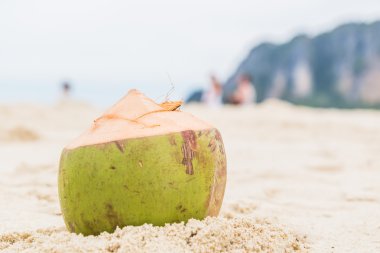 Hindistan cevizi içki kum üzerinde