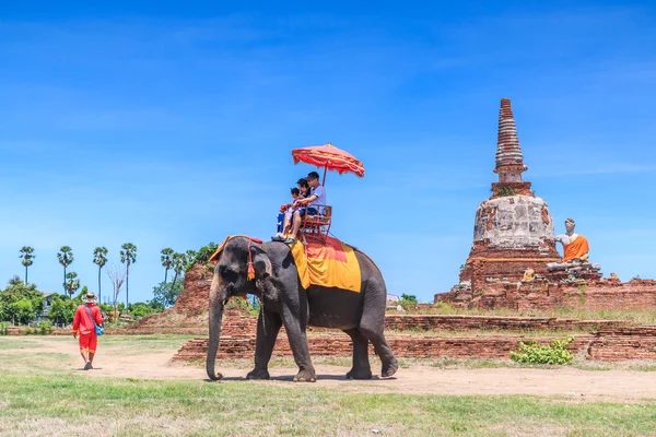 Туристы в туре на слонах — стоковое фото