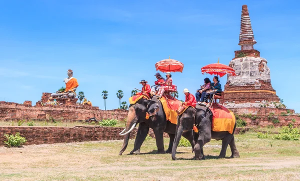 Tourists on an elephant ride tour — Stock Photo, Image