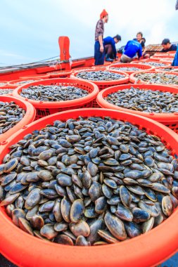 shellfish On fishing vessels clipart