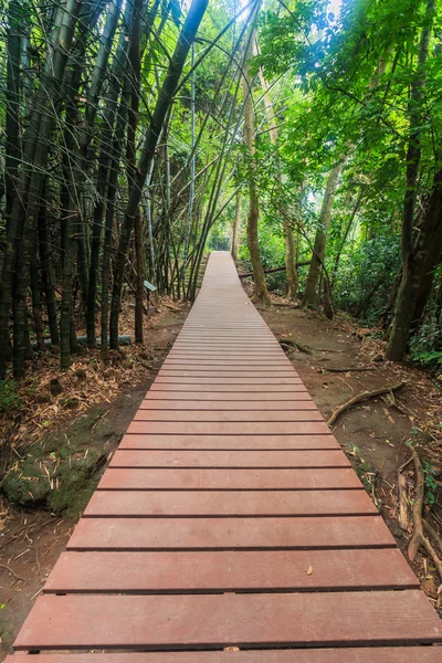 Διάβαση πεζών Γέφυρα στο δάσος — Φωτογραφία Αρχείου