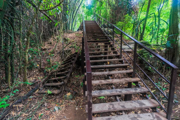 Puente pasarela en el bosque — Foto de Stock