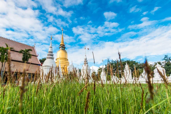 WAT Suan Dok Golden pagoda — Stok fotoğraf