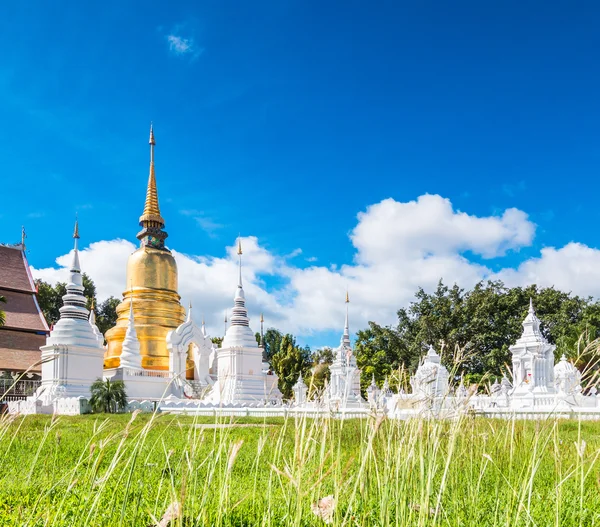 Wat Suan Dok Pagoda dorada —  Fotos de Stock