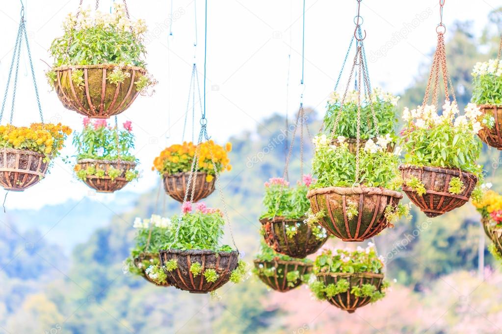 hanging baskets of flowers