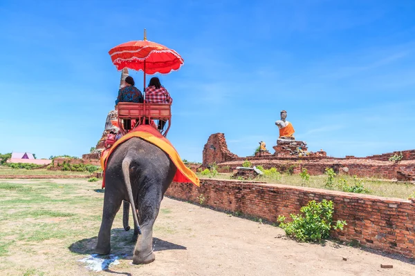 Turister på en elefant rida tour — Stockfoto