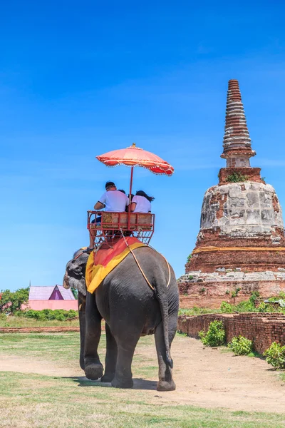 Tourists on an elephant ride tour — Stock Photo, Image
