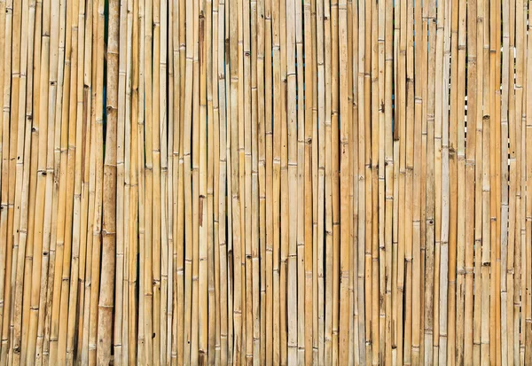 Dried bamboo background — Stock Photo, Image