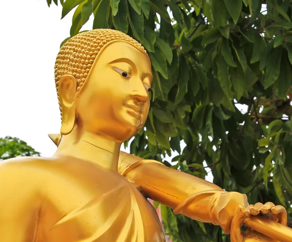 Pilegrimsstatue av Buddha – stockfoto