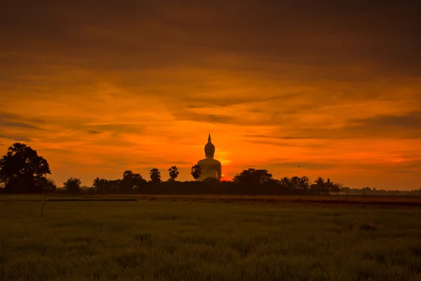 Grande statua di Buddha — Foto Stock