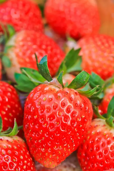 成熟的原料草莓 — 图库照片