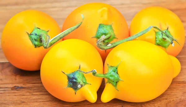 Solanum mammosum Pflanzen — Stockfoto