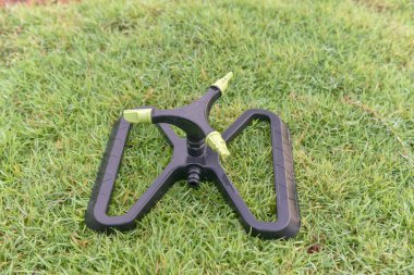 Çimlere serpiştirilmiş su başları.