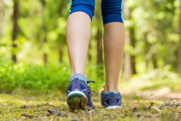 Caminar o correr piernas en el bosque, hacer ejercicio en la naturaleza de verano.T — Foto de Stock
