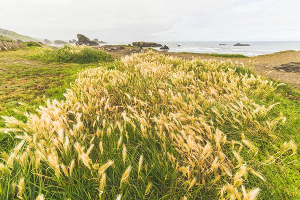 Bella vista sull'oceano Pacifico dalla roccia . — Foto Stock