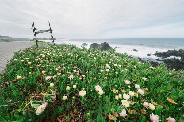 Paesaggio di spiaggia e colline dell'oceano Pacifico . — Foto Stock