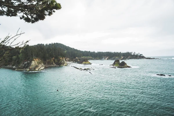 Güzel görünümünden rock Pasifik Okyanusu üzerinde. — Stok fotoğraf