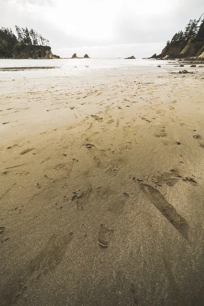 Písek a kopce v Tichém oceánu beach. — Stock fotografie