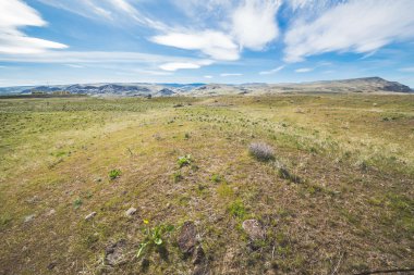 Bahar güzel Amerikan alanları peyzaj.