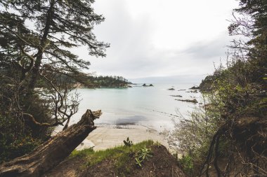 Güzel görünümünden rock Pasifik Okyanusu üzerinde.