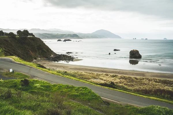 Natura della costa oceanica del Pacifico in estate . — Foto Stock