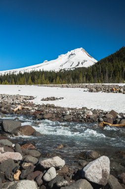 Dağ Hood ve ormanı creek gelen doğal alttan görünüm.
