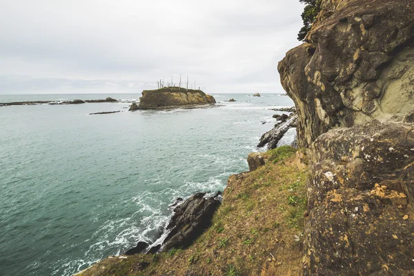 Bella vista della costa Oceano Pacifico con colline . — Foto Stock