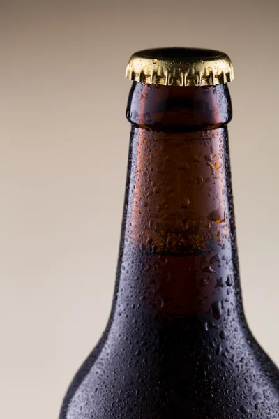 Beer bottle with water drops in brown background. — Stock Photo, Image