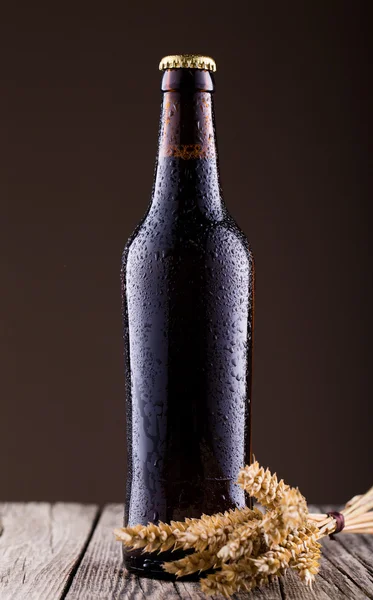 Beer bottle and spica in brown background. — Stock Photo, Image