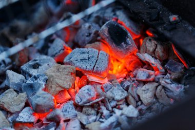 Barbekü tavuk budu.