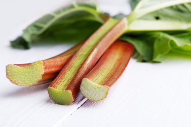 Ravent Beyaz ahşap tablo.