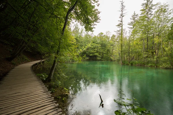 Chemin en bois et lac en Croatie . — Photo