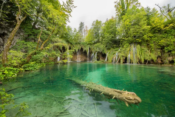 Lac et cascade dans le parc national de Plitvice, Croatie . — Photo