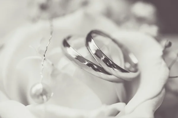 两只有花的结婚戒指. — 图库照片